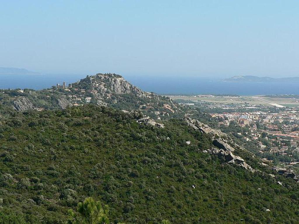 183 HYERES ET SES PALMIERS D03_000051.jpg